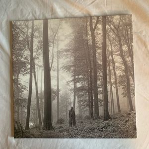 Taylor Swift Folklore album record vinyl.